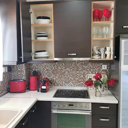 Purple_rose_apartment Case de vacanță